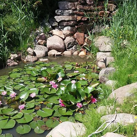 Max Séjour chez l'habitant *